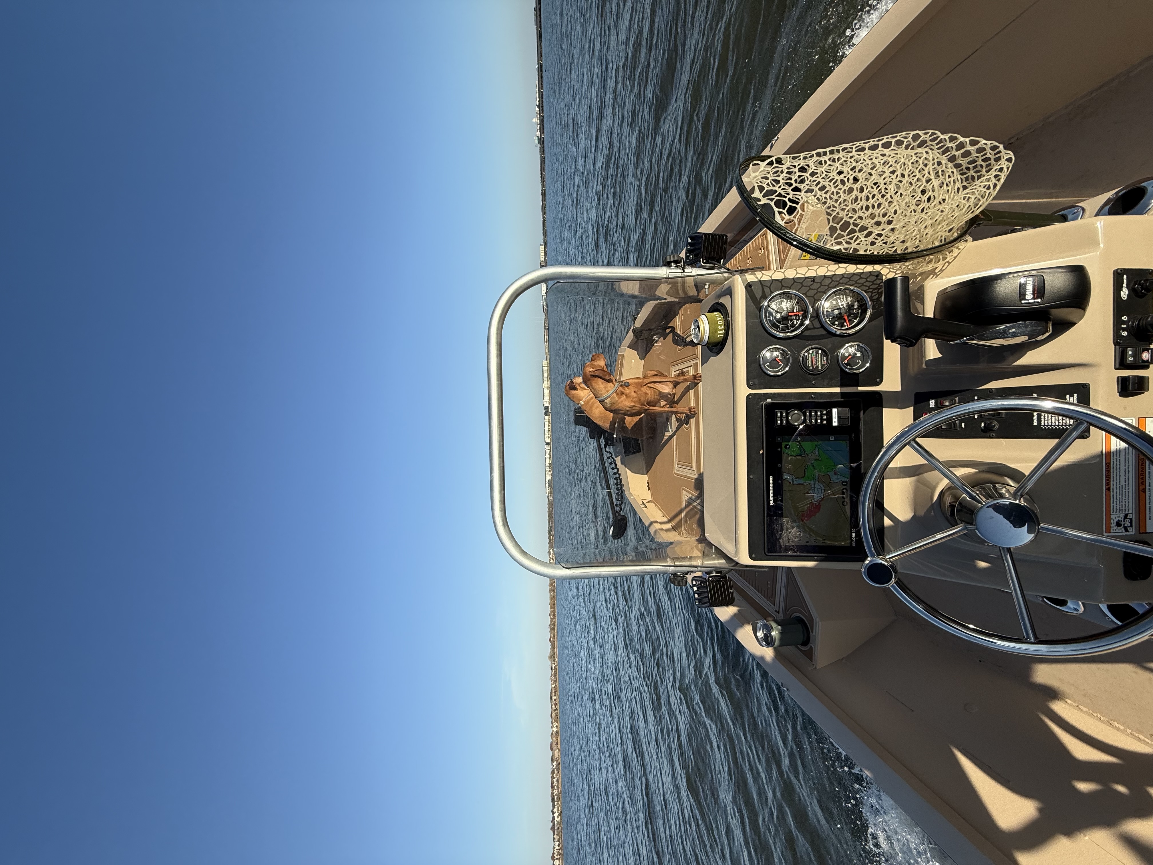 Boat cockpit on open water with two dogs on the bow.